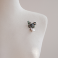 Jay Loren Bvdazy 0Bh0150 butterfly freshwater pearl brooch