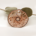 Gaye LoRen Bivdai 1Bh0201 Cognac Diamond Rose Gold Cubic Brooch