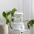 TriZyme [Estar] is a humidifier with 3.8L capacity ESK-SH900A