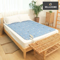 Ownerclan popular product large安心electric heater wool-free large electric blanket electric heater安心e