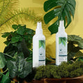 Owner Clan Bestseller Tea Tree Leaf Foot Odor Mint Gentle Scent Foot Spray 200ml 2 Count [WFD70FF260