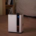 B2B World Direct Import Overseas Direct Import H2 3L Household Dehumidifier White