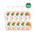 Deetol Orange Foaming Antibacterial Hand Wash 250g x 10