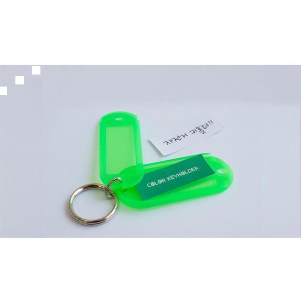 Green RGPMVVYN colored keychain holder for 100 keys house chain keyring