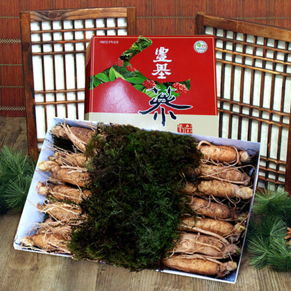 Punggi Ginseng 5-Year-Old Fresh Ginseng 500g (8-10 roots) x 2 Boxes