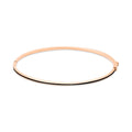 14K Simple Slim Black Epoxy Bangle JNB27501