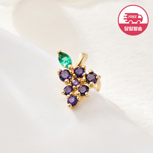 B&B Gold Same Day Shipping 14K Fruity Pop Grape Fruit Piercing One Side JAE41825