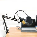 SK Storea Guitar High-quality Recreation Pop Screen Broadcasting Individual Mic Amp A Mic Stand Base
