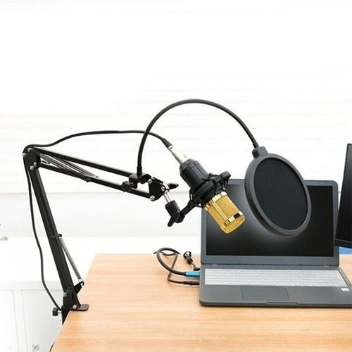 SK Storea Guitar High-quality Recreation Pop Screen Broadcasting Individual Mic Amp A Mic Stand Base