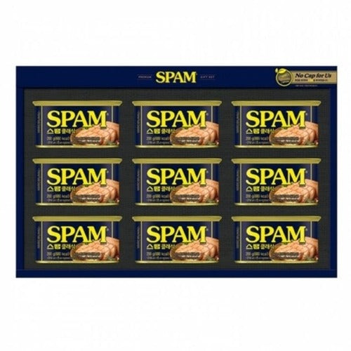 SK StoreA Guitars High-Quality Spam Clasict 9 Piece Holiday Gift Set Holiday Gift Seol Gift Seol Gif