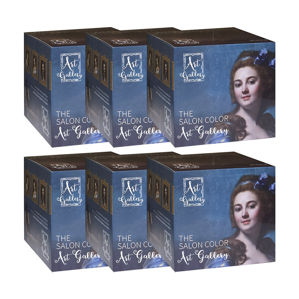 SalonColor Salon Color ArtGallery Hair GrayCover Developer ChocolateBrown 6pcs