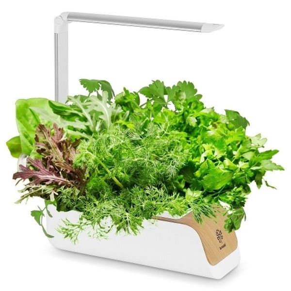 Thumbs Up Home LED Vegetable Cultivation Device CYPP31018701575667501