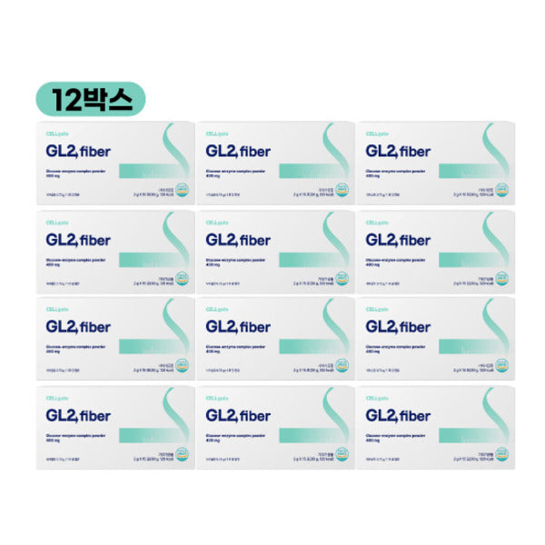 Seagate GT2HIBER 12-Pack