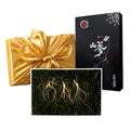 Misc Gangwon Wild Ginseng 7-8 Year Root 3 Pieces