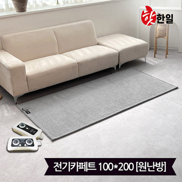 Trendy Nordic Style Modern Electric Carpet 100x200