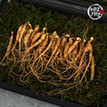 Gourmet Journey: Gangwon-do Ugly Wild Ginseng, 56-Year-Old Roots, 30g (1626 Roots)