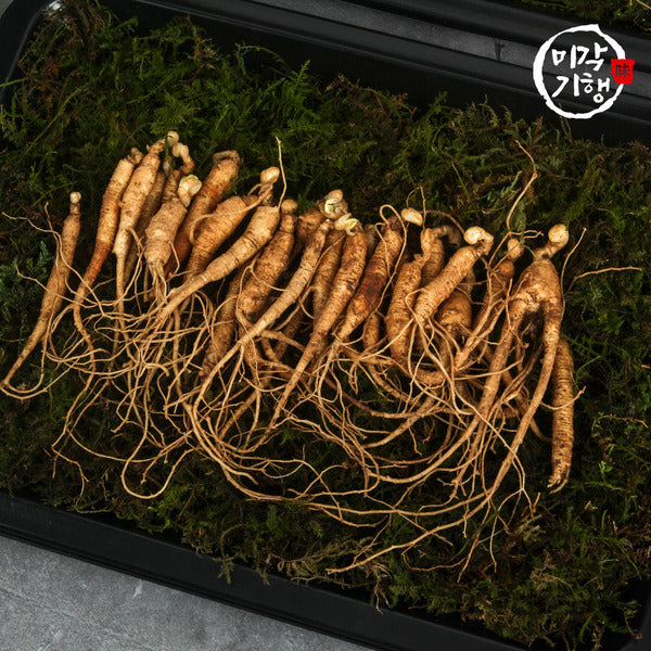 Gourmet Journey: Gangwon-do Ugly Wild Ginseng, 56-Year-Old Roots, 30g (1626 Roots)