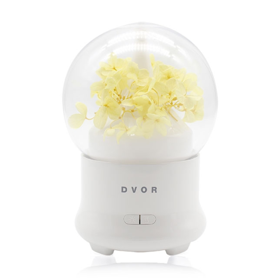 Dvor Plaower Humidifier JD-F50