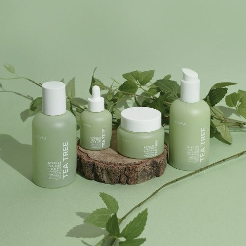SK Store Guitar [UIUI] UIUI Rice Tree Basic 4-in-1 Set 683609