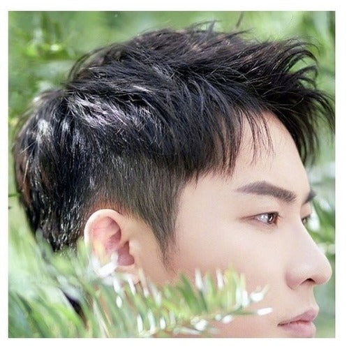SK Store Guitar Pickup Immom T블럭 Dandycut Male Wig Black (KYR-WEAD6D4) 684185