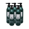 TSE XBioquin Shampoo Triple Solution Bergamot Fragrance 500g Hair Fall Care 5pcs S