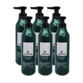 TS Xenlivin Shampoo Triple Solution Bergamot香型 500g Hair Fall Care 6pcs S (19755344)