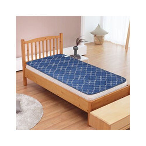 Other Brands Hailmoon Carbon Mat Royal 90x180 Washable Electric Mat Singles686260