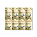 Doctorrin Cold Extract Saw Palmetto Octacosanol Zinc 600mg 30 Capsules 8 Boxes