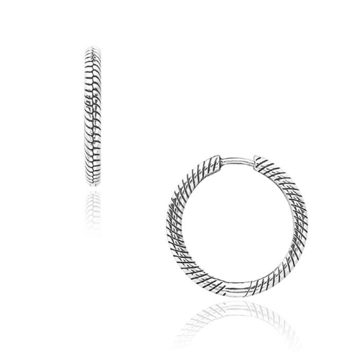 Pandora 299532C00 Moments Charm Hoop Earrings