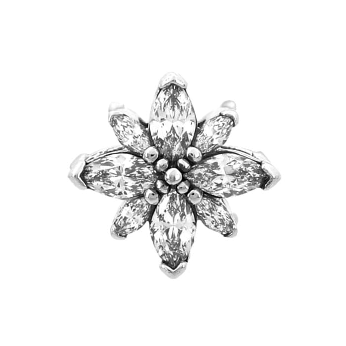 Pandora 793591C01 Sparkling Polar Star Edition