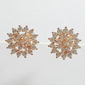Bluekey Silver925 Cubic Zirconia Diamond Cut Earrings 241011-15 (23460913A)