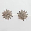 Bluekey Silver925 Cubic Zirconia Diamond Cut Earrings 241010-21 (23460919A)