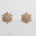 Bluekey Silver925 Cubic Zirconia Diamond Cut Earrings 241011-11 (23460929A)