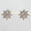 Bluekey Silver925 Cubic Zirconia Diamond Cut Earrings 241010-01 (23460936A)