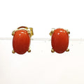 Bluekey AAA Grade Red Coral Gem Earring 250905-01 (41219056A)