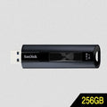 V&Y Corporation [JHQQ6P474B] sandi SDCZ880 256GB USB3.1 Memory (26438440A)