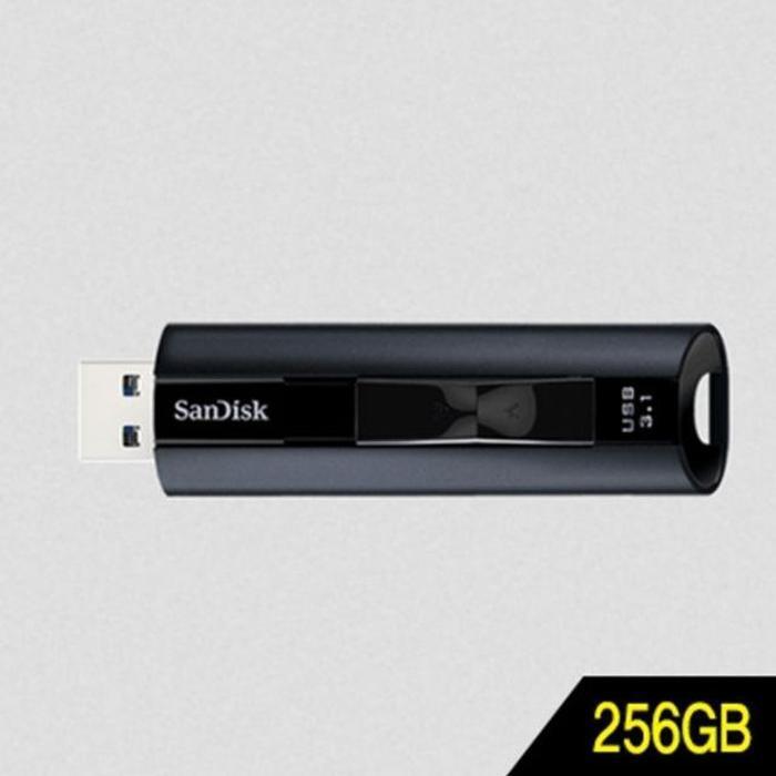 V&Y Corporation [JHQQ6P474B] sandi SDCZ880 256GB USB3.1 Memory (26438440A)