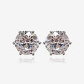 Proseller Azmond All Silver Earrings (13173636A)