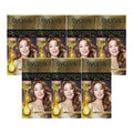 KATYALPHA Shopping iOS Oreo Gold Label New Teeth Cover Dye CrystalBeige1-B Original 7 pieces Ss
