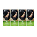 KatyAlphaShop TS Kind Hair Dye 120g 3rd Natural Black 4 Pieces Ss