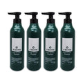 KATYALPHA SHOPPING TS X-BIOTIN SHAMPOO TRIPLE SOLUTION YARROWIA香芹향 500g脱发护理 4S