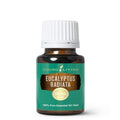 KATYALPHA SHOPPING Eucalyptus Radiata Essential Oil 15ml AD Oil