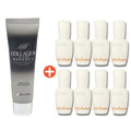 KATYALPHA Shopping Collagen All-In-One Essence Purchase: Shiseido Hydrating Essence 15ml x 8 (Total 