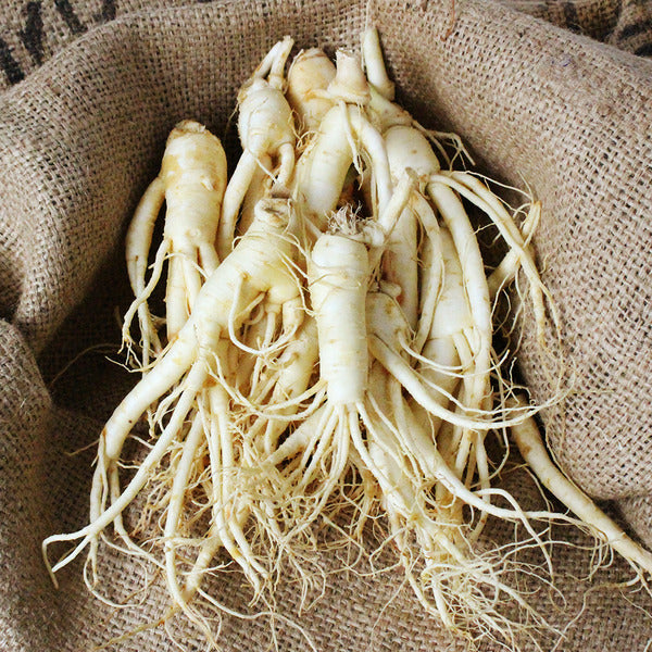 KT Alpha Shopping Geumsan Hwanggeumnongjang Washed Lanbalsam for Red Ginseng Use Small 700g