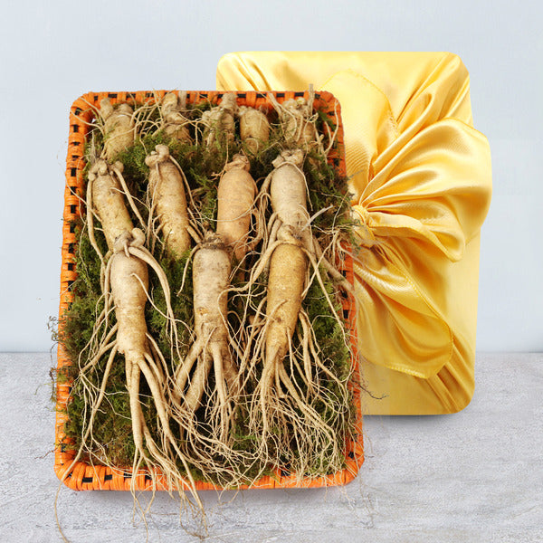 KatyAlphaShopping Fresh Delivery Jinshan Golden Farm Ginseng (King Size) 2 Sets Gift