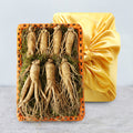 KTR Alpha Shopping [Direct from Origin] Geumsan Golden Farm Korean Ginseng Root (Extra Large) 1-bott