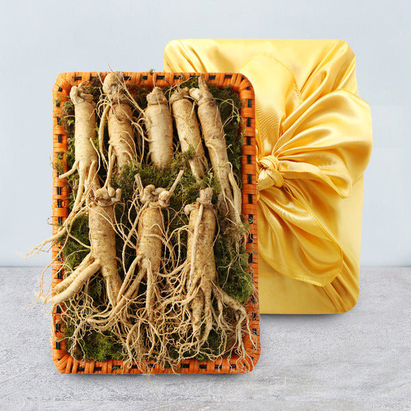 KT Alpha Shopping Direct Farm Delivery Geumsan Golden Farm Korean Ginseng Radish (Large) 1 set Gift 