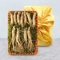 KTR Alpha Shopping Farm Direct Geumsan Golden Farm Fresh Ginseng Root (Medium) 1 Bundle Gift Set