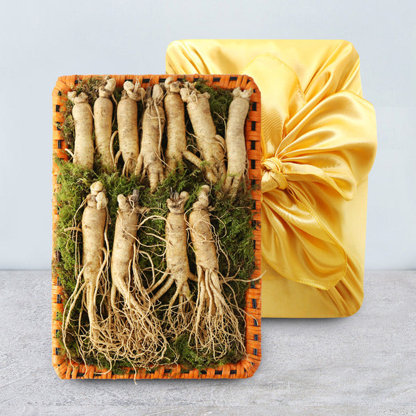 KTR Alpha Shopping Farm Direct Geumsan Golden Farm Fresh Ginseng Root (Medium) 1 Bundle Gift Set