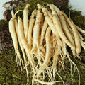 KTR Alpha Shopping Direct from Farm Geumsan Golden Farm Washed Ginseng (Small Roots) 700g for Samgye